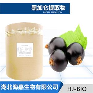 黑加仑提取物,Black currant extrac