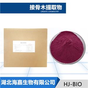 接骨木提取物厂家