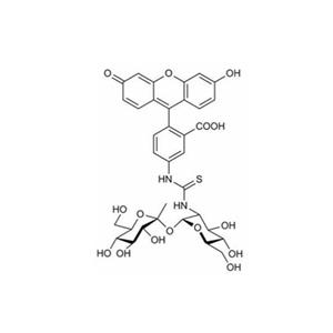 FITC-羟丙基甲基纤维素，FITC-HPMC，异硫氰酸荧光素标记的羟丙基甲基纤维素