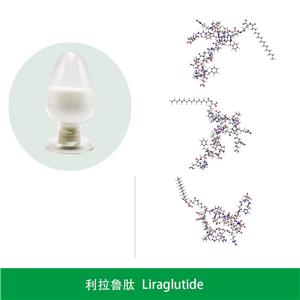 利拉鲁肽,Liraglutide
