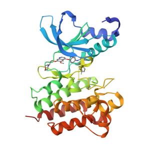 人HGF R / c-MET蛋白, His Tag