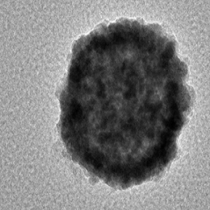 HMPDA，中空介孔聚多巴胺 150nm，Hollow Mesoporous Polydopamine