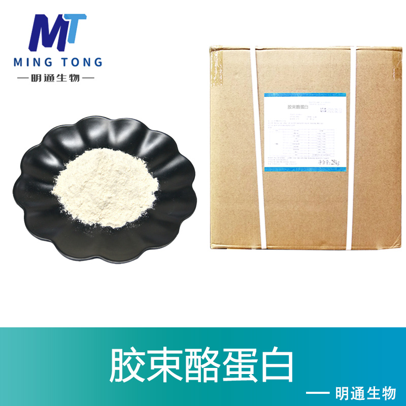 胶束酪蛋白,Micellar Casein