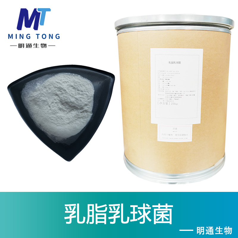 乳脂乳球菌,Lactococcus cremoris