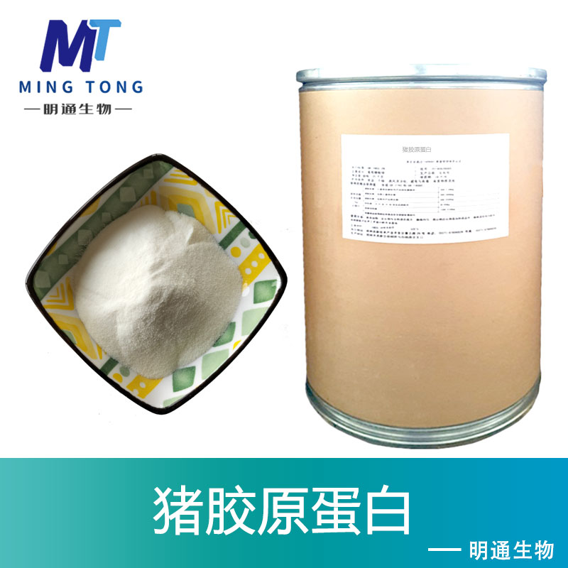 猪胶原蛋白,Collagen(Pig)