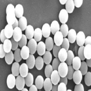 GMA环氧基修饰PS微球,GMA-epoxy functionalized PS microspheres