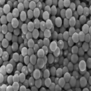 季铵阳离子聚合物微球,Quaternized Ammonium Polymer Microspheres