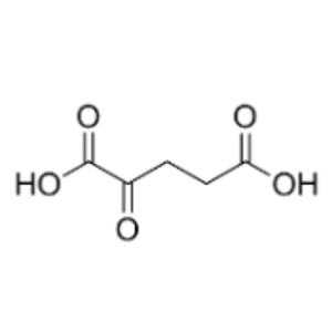 酮戊二酸；AKG