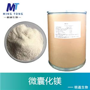 脂质体镁,Liposome magnesium