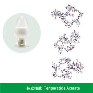 特立帕肽,Teriparatide