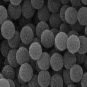 正电荷聚合物微球，Cationic polymer microspheres