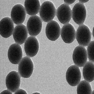 柠檬酸修饰聚苯乙烯微球，Citrate-modified Polystyrene Microspheres