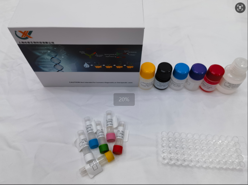 植物细胞分裂素氧化酶（CKX）ELISA试剂盒