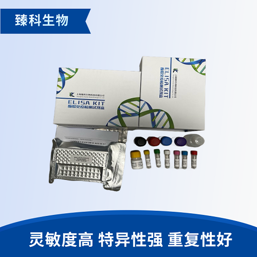 大鼠FMS样酪氨酸激酶3(Flt3）elisa试剂盒
