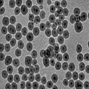活化酯修饰四氧化三铁纳米颗粒,NHS-Ester-Modified Fe3O4 Nanoparticles