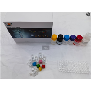 植物K+-ATPase（K+-ATPase）ELISA试剂盒