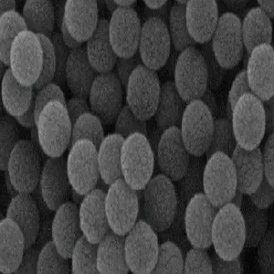 镍包覆聚苯乙烯导电微球，Ni修饰PS Conductive Microspheres