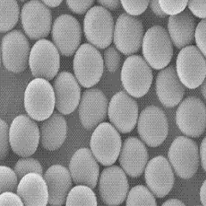 镀银导电微球1um-100um，Ag-Plated Microspheres