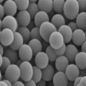 C18硅胶磁性吸附微球,C18-Silica Magnetic Microspheres