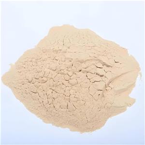 异淀粉酶,Isoamylase