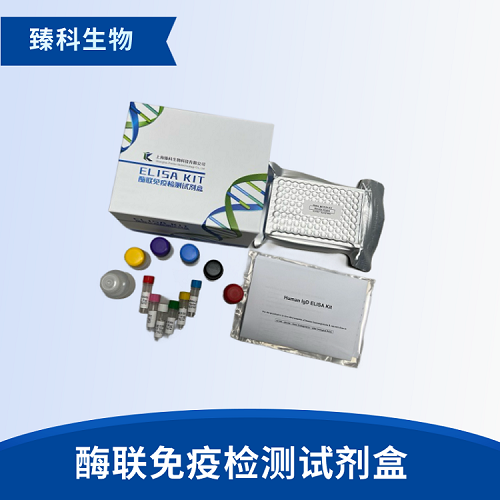大鼠白介素9(IL-9）elisa试剂盒