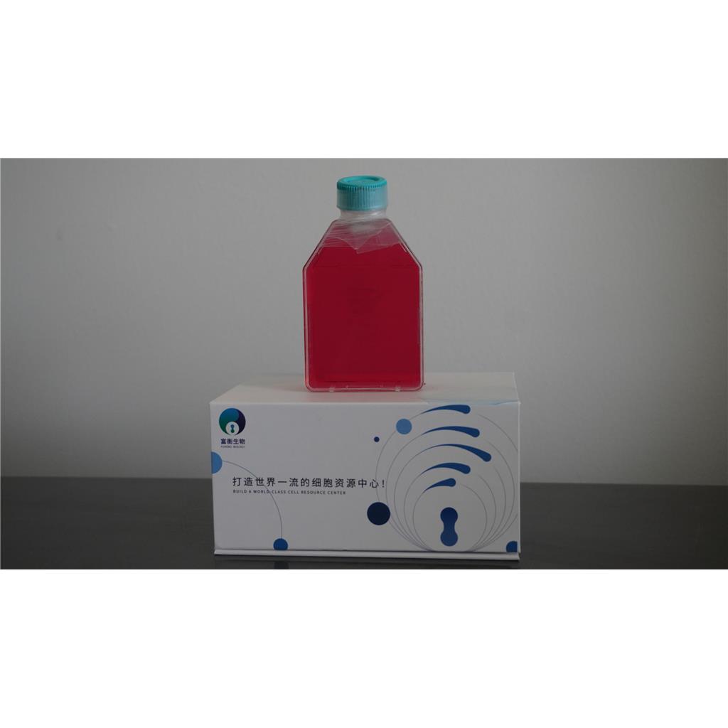 人永生化表皮细胞；HaCaT,HaCaT