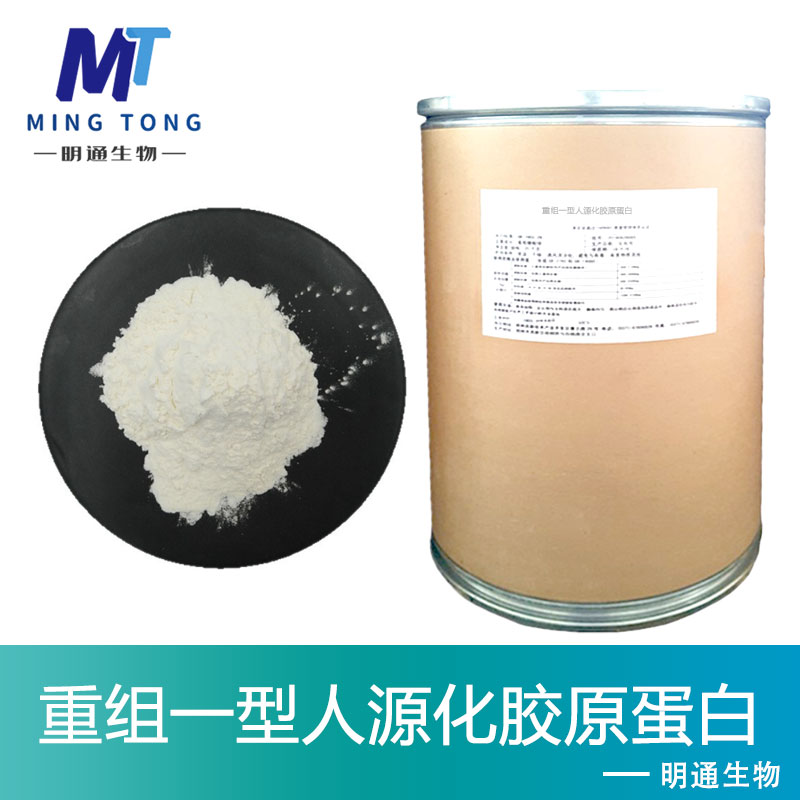 重组一型人源化胶原蛋白,Recombinant type I humanized collagen protein