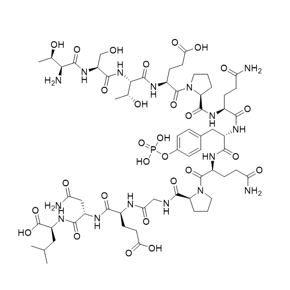磷酸化 PP60 c-Src (521-533),pp60 c-src (521-533) (phosphorylated)