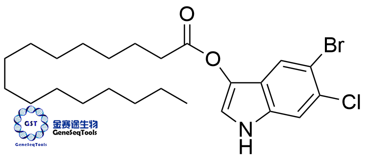 5-溴-6-氯-3-吲哚棕榈酸盐,5-BROMO-6-CHLORO-3-INDOXYL PALMITATE