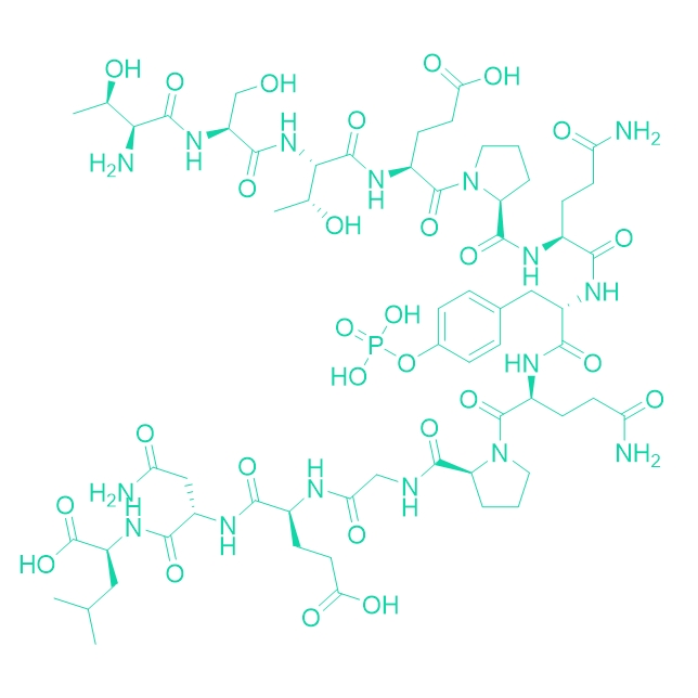 调控域直链多肽,pp60 c-src (521-533) (phosphorylated)