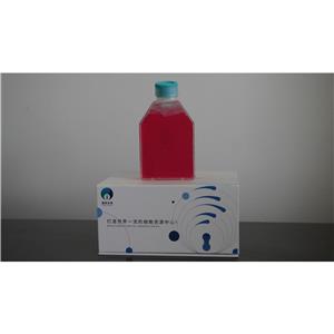 人神经母细胞瘤细胞；SH-SY5Y,SH-SY5Y