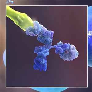 人ErbB3 / Her3蛋白, His, Avitag