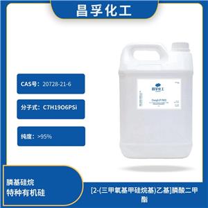 [2-(三甲氧基甲硅烷基)乙基]膦酸二甲酯