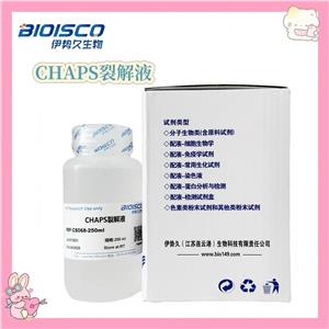 CHAPS裂解液