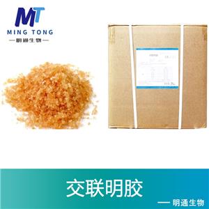 交联明胶