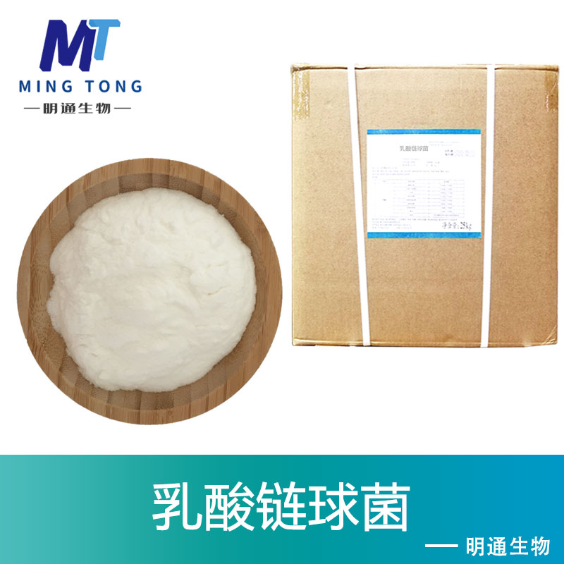 乳酸链球菌,Streptococcus lactis