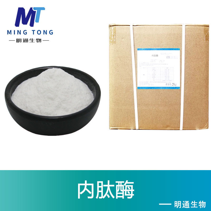 内肽酶,THIMET endopeptidase antibody