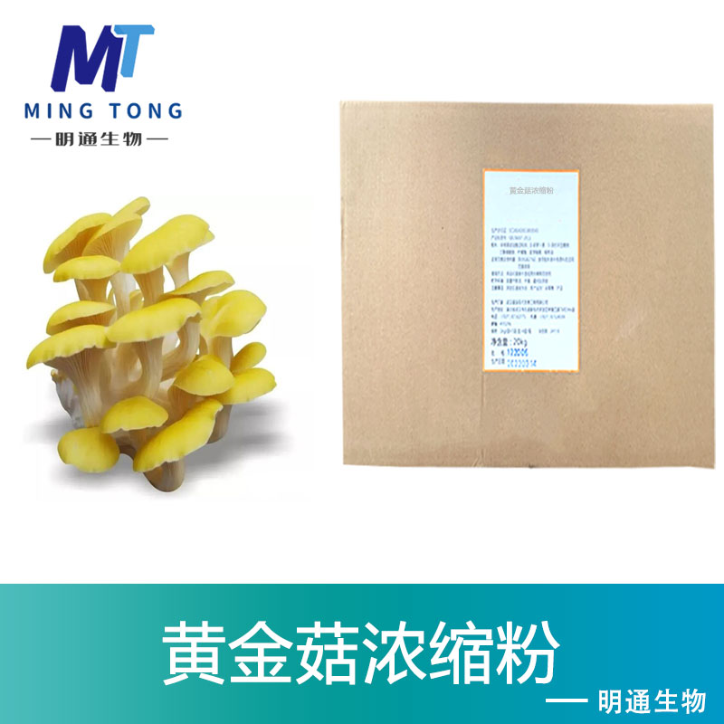 黄金菇浓缩粉,Golden Oyster Concentrate Powder (Ceramide)