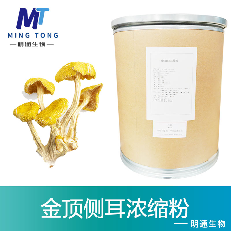 金顶侧耳浓缩粉,Golden Top Ear Concentrate Powder