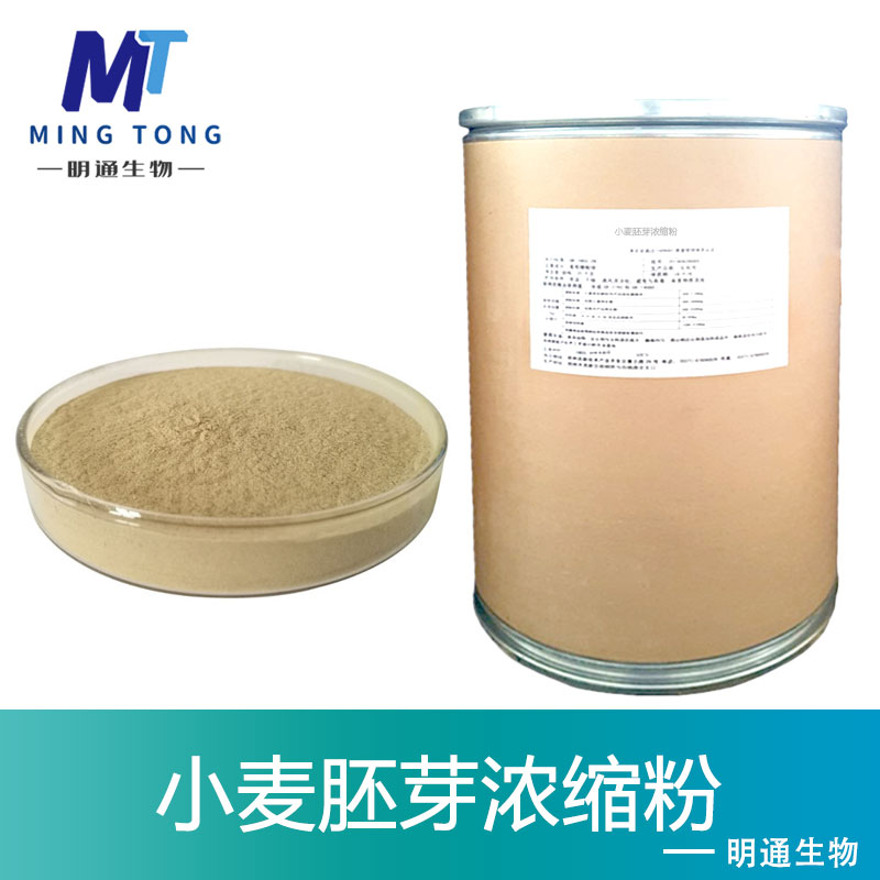小麦胚芽浓缩粉,Wheat germ concentrate powder