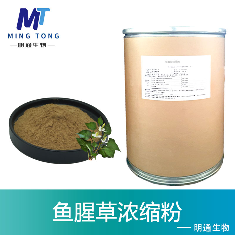 鱼腥草浓缩粉,Concentrated powder of Houttuynia cordata