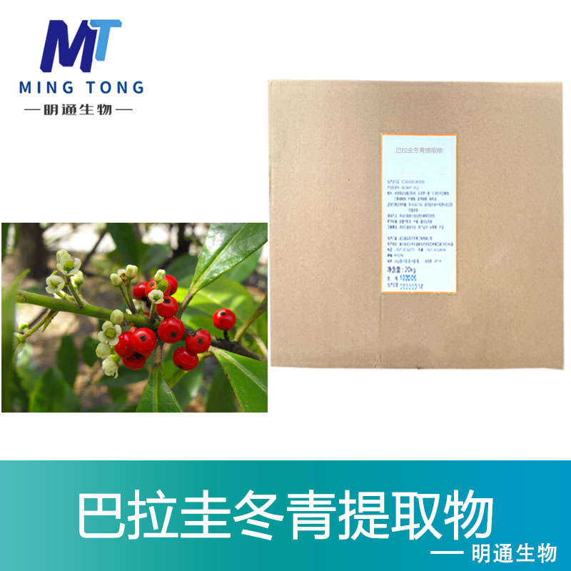 巴拉圭冬青提取物,MATE ABSOLUTE