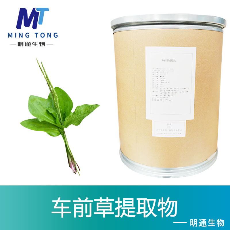 车前草提取物,Asia Plantain Ext