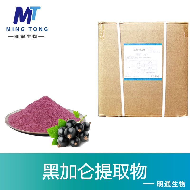 黑加仑提取物,Black currant extrac