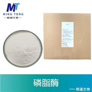 溶血磷脂酶,Lysophospholipase