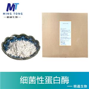 细菌性蛋白酶,PROTEASE