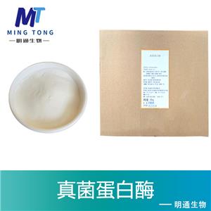 真菌蛋白酶
