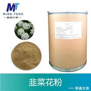 韭菜花粉,Leek pollen