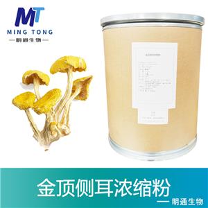 金顶侧耳浓缩粉