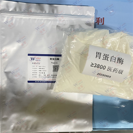 胃蛋白酶,Pepsin